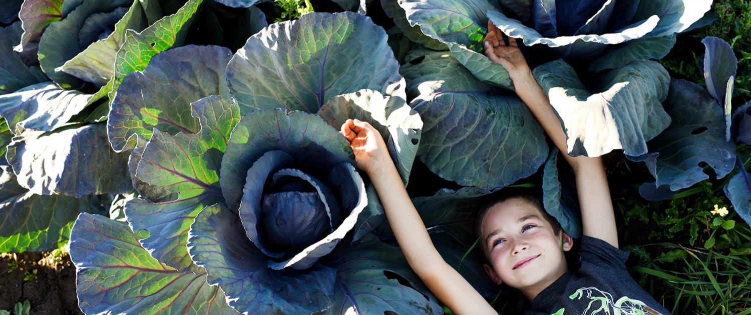 Bozeman Portrait Photography Gallatin Valley Botanical Farm cabbage kid