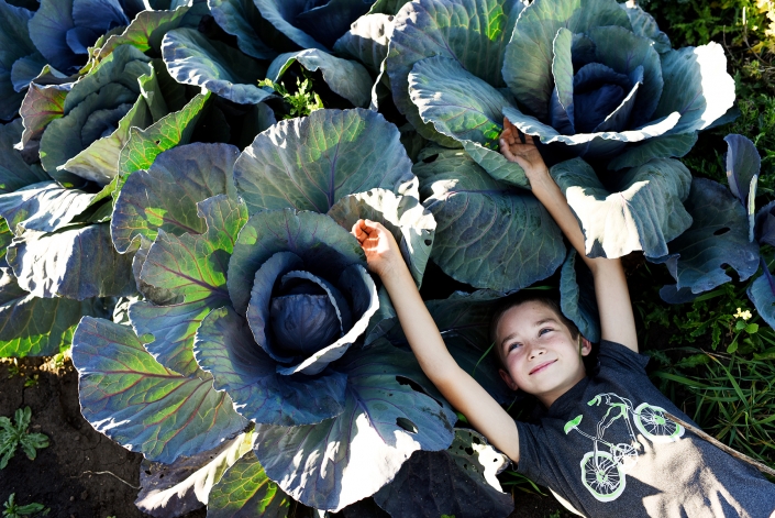 Bozeman Portrait Photography Gallatin Valley Botanical Farm cabbage kid