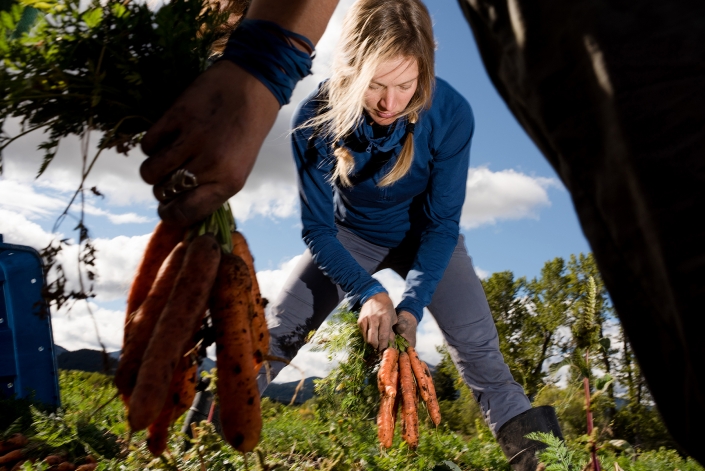 Bozeman Portrait Photography Gallatin Valley Botanical Farm carrot harvest